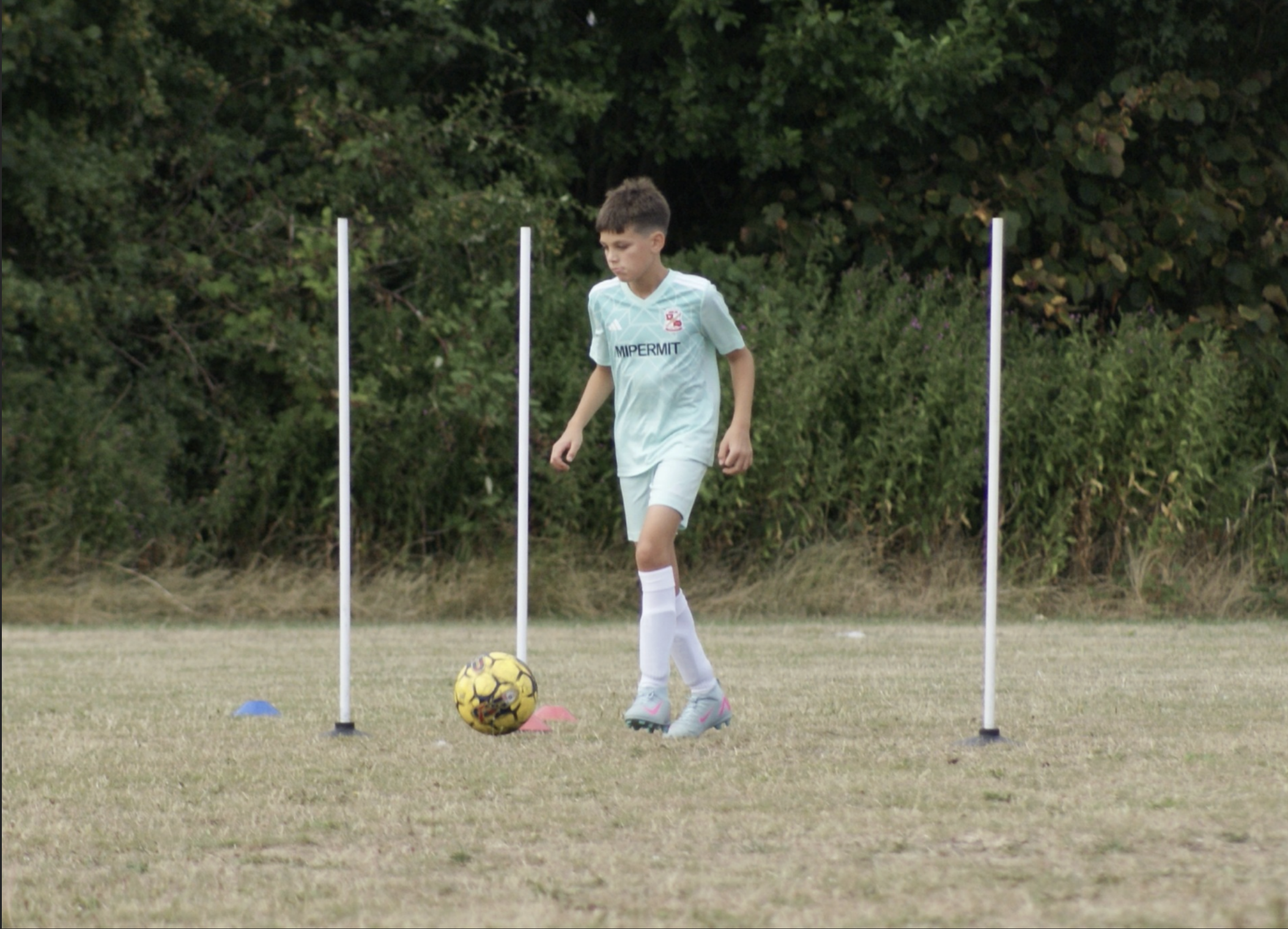 Training Image F